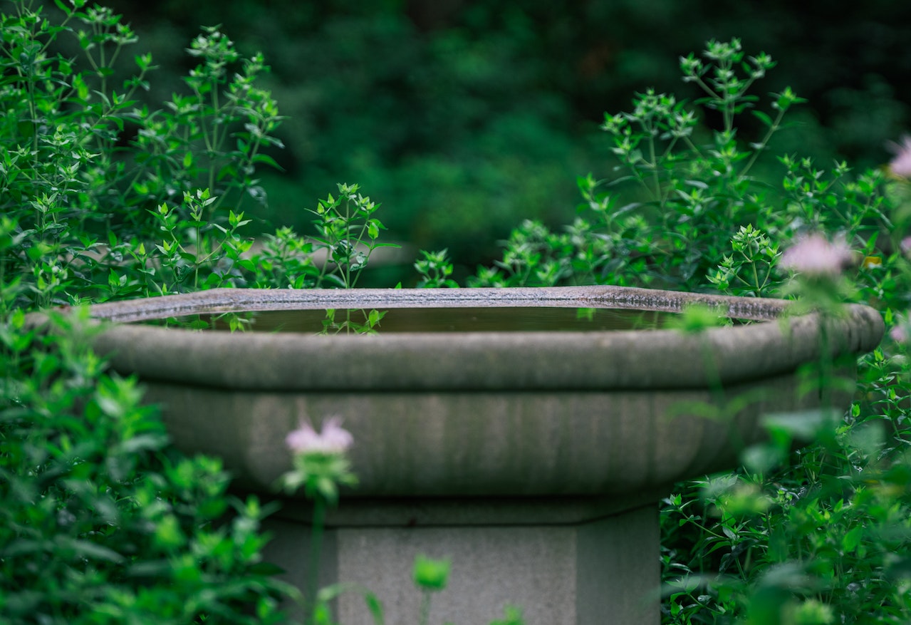 photo-of-a-fairy-house-surrounded-by-flowers-and-a-water-fountain-on