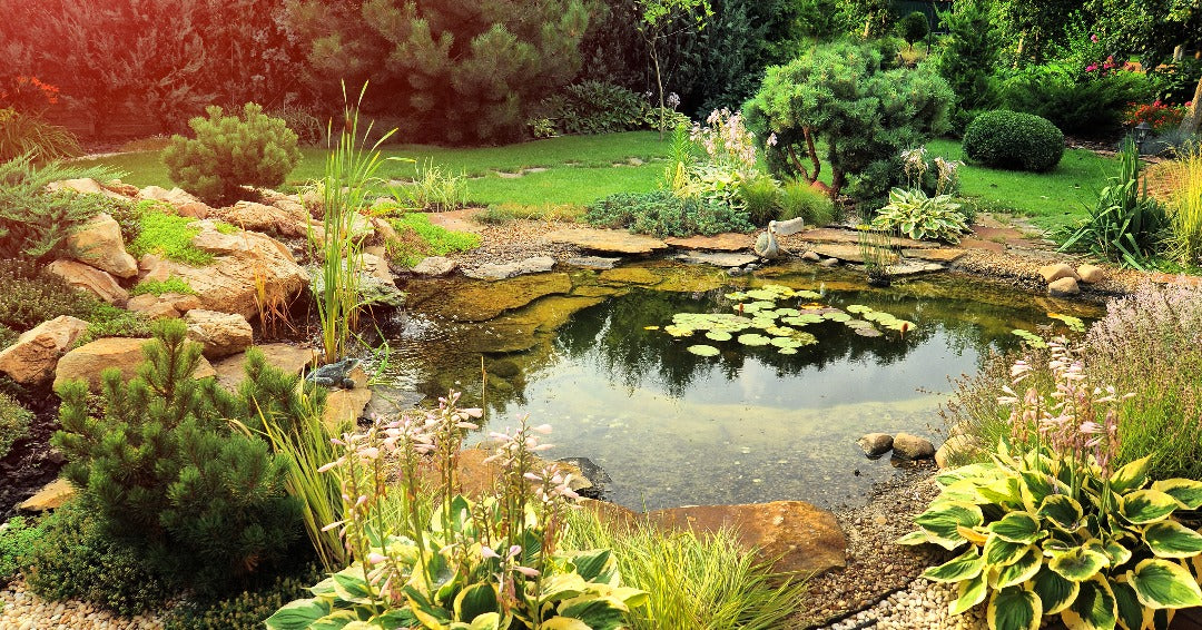 12 Things Your Meditation Garden Needs – Soothing Company