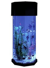 Medium Aquariums