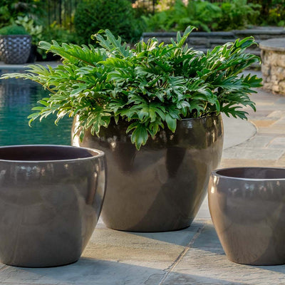 Cabachon Glazed Planter Set of 3