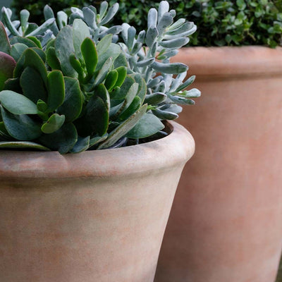 Cortona Terra Cotta Planter Set of 3