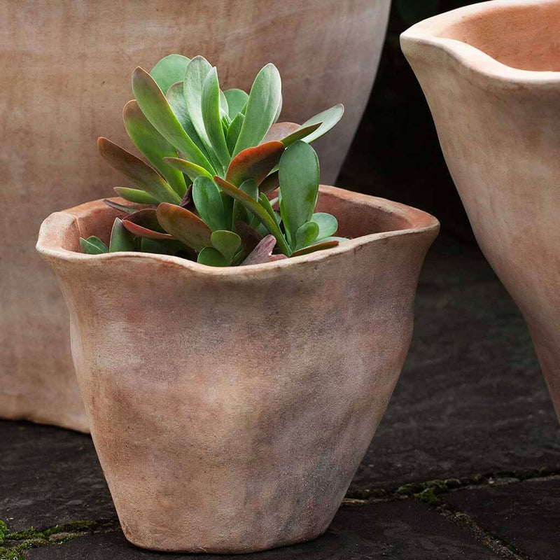 Foxglove Short Planter Set of 3 | Terra Cotta Collection