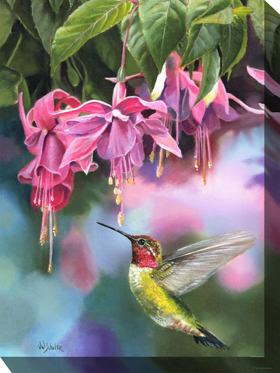 Fuschia & Hummer Outdoor Canvas Art