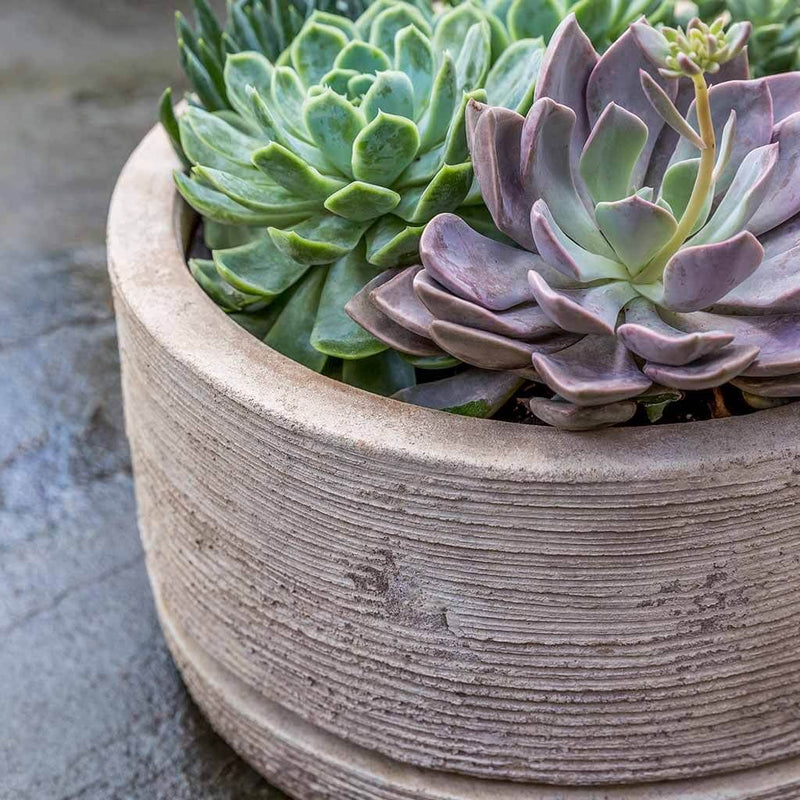 Sgraffito Low Antico Terra Cotta Planter Set of 3